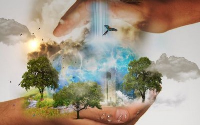 How can I help heal our Planet?