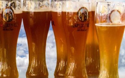 7 Reasons Why Drinking Beer Is Good for Your Health