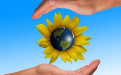 Nature Conservation is key to a Greener Future